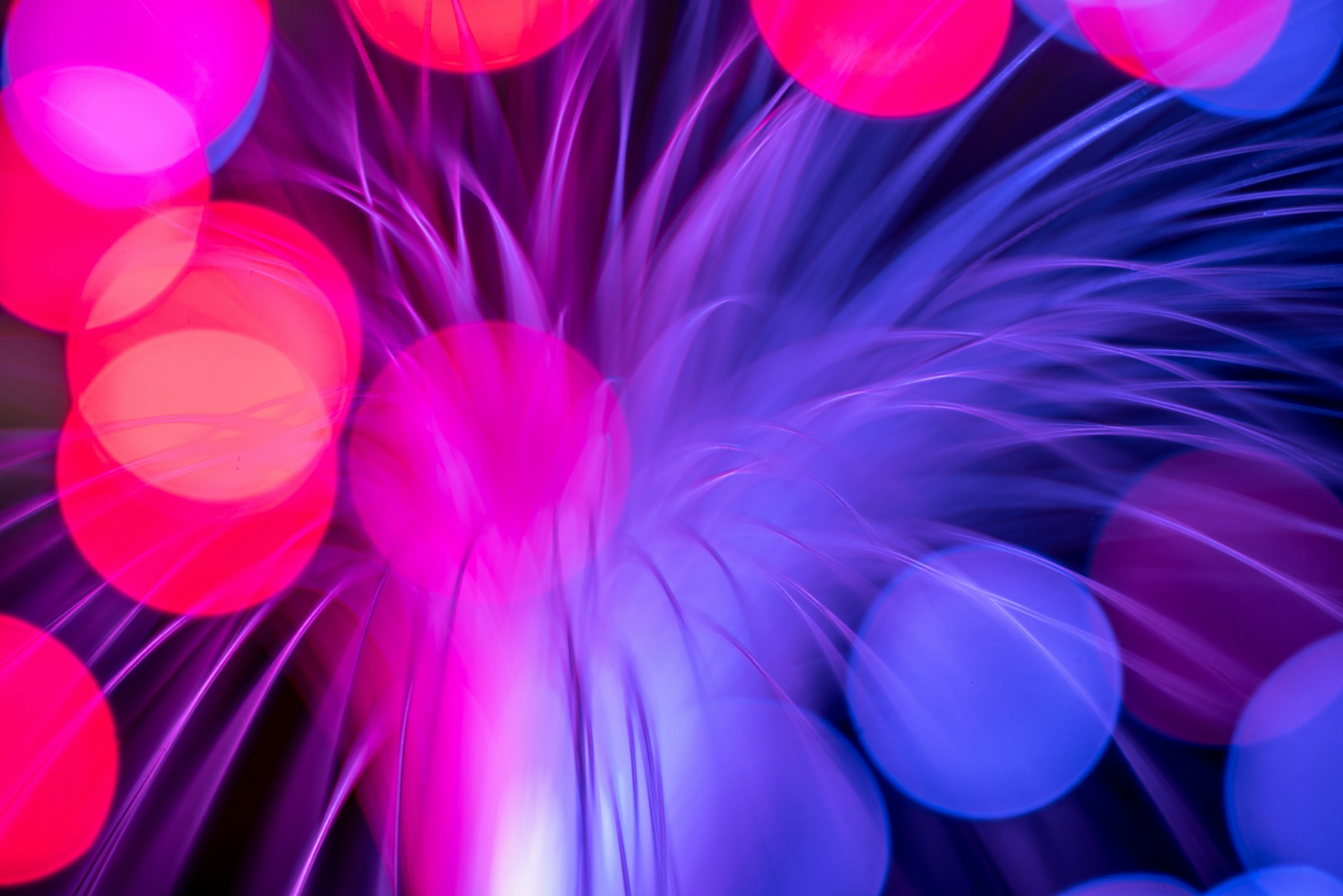 La Scuola di Trasformazione